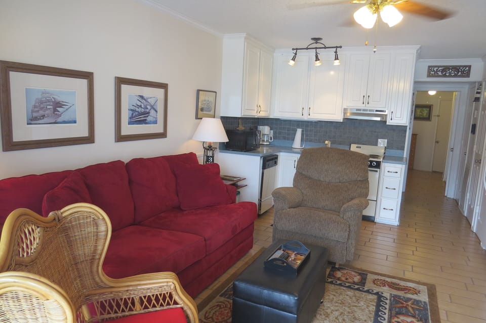 Living / Kitchen Area.