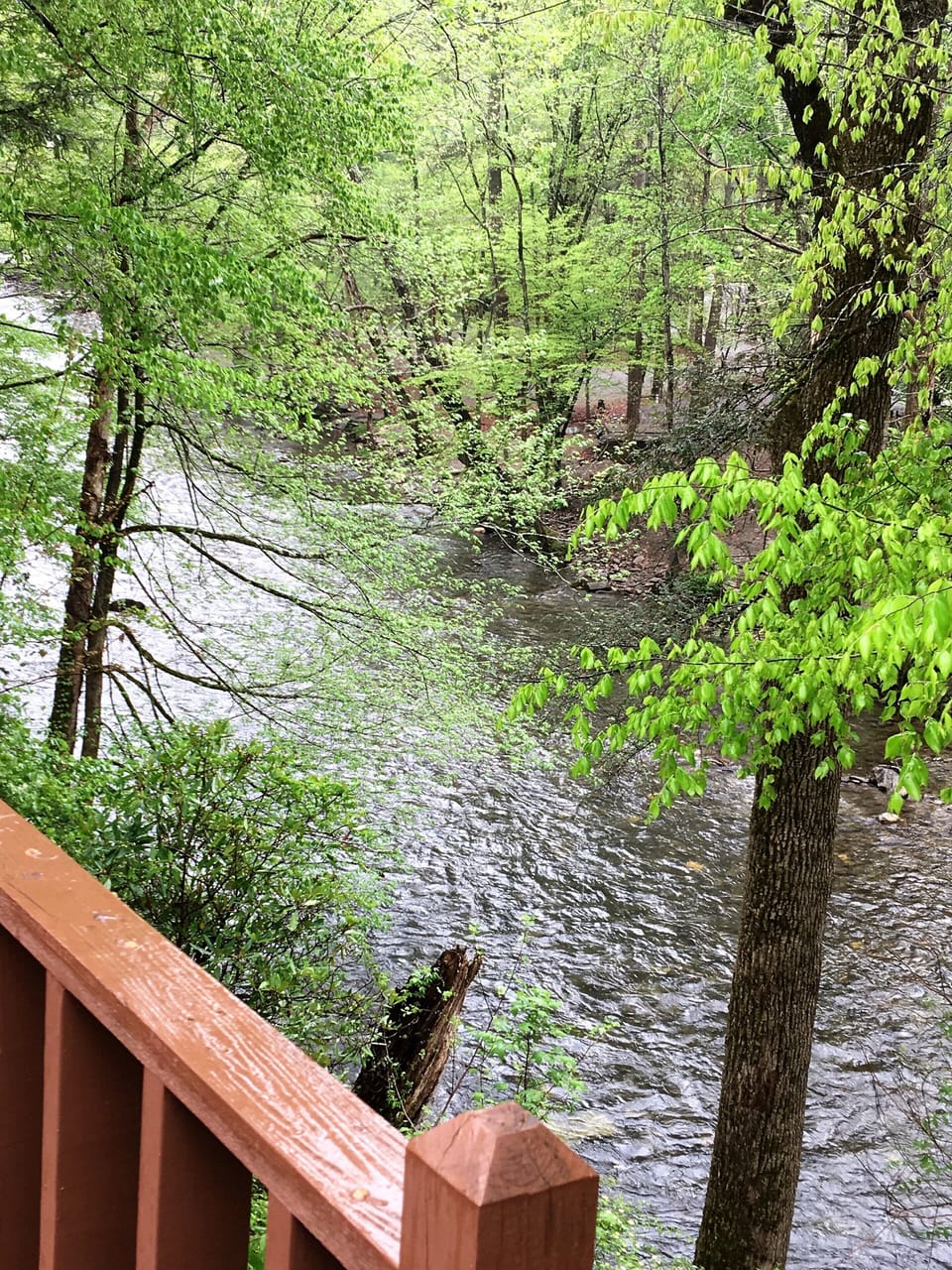 River View