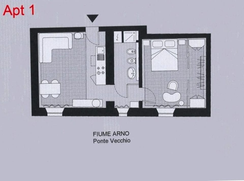apartment's plan
