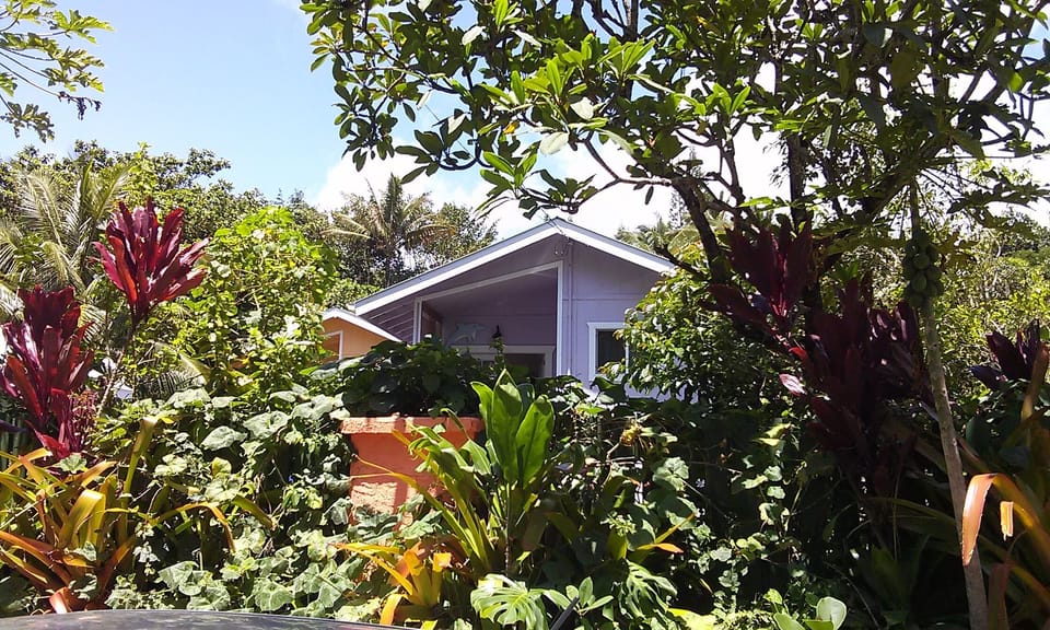 Street view of Dolphin Cottage