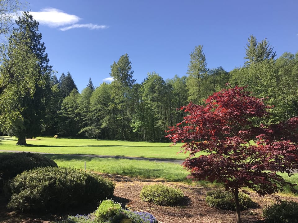 Patio View looking toward The Courses (The Resort at the Mountain) Foxglove 9