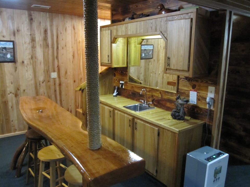wet bar downstairs