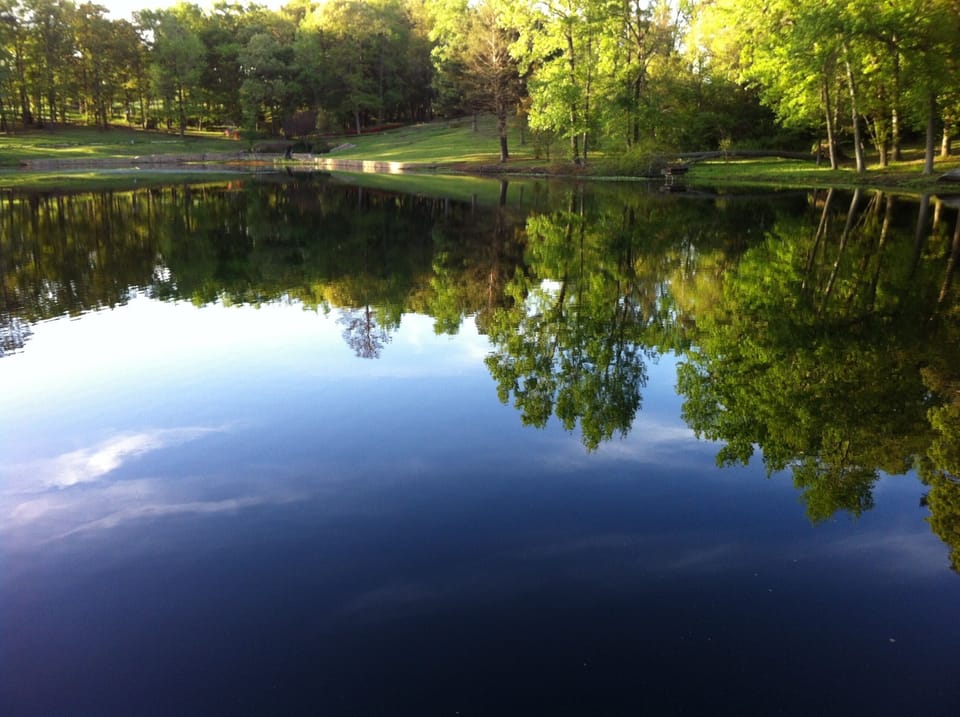 Beautiful Day in East Texas!