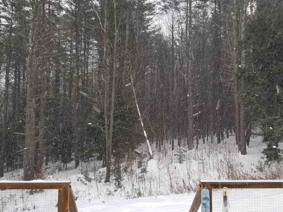 Back yard great for sledding 3000 acres behind us 