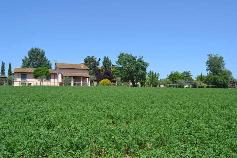 View House and campaign