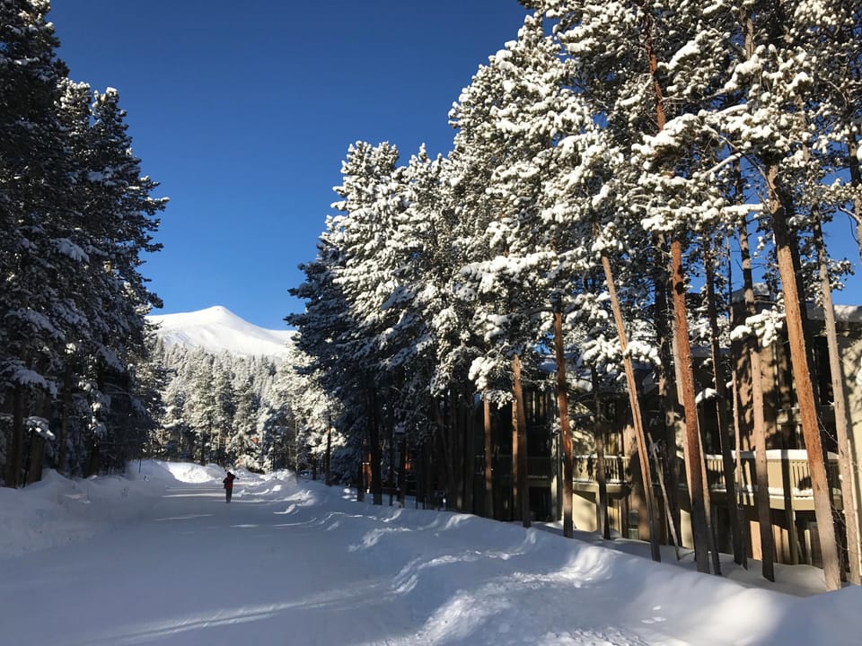 Street view in winter