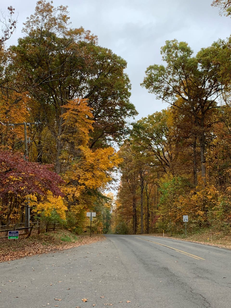 Fall on front of Cape cod, Blackwell road 