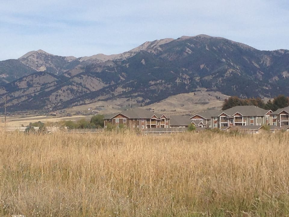 Bridger Mountains from behind our complex.