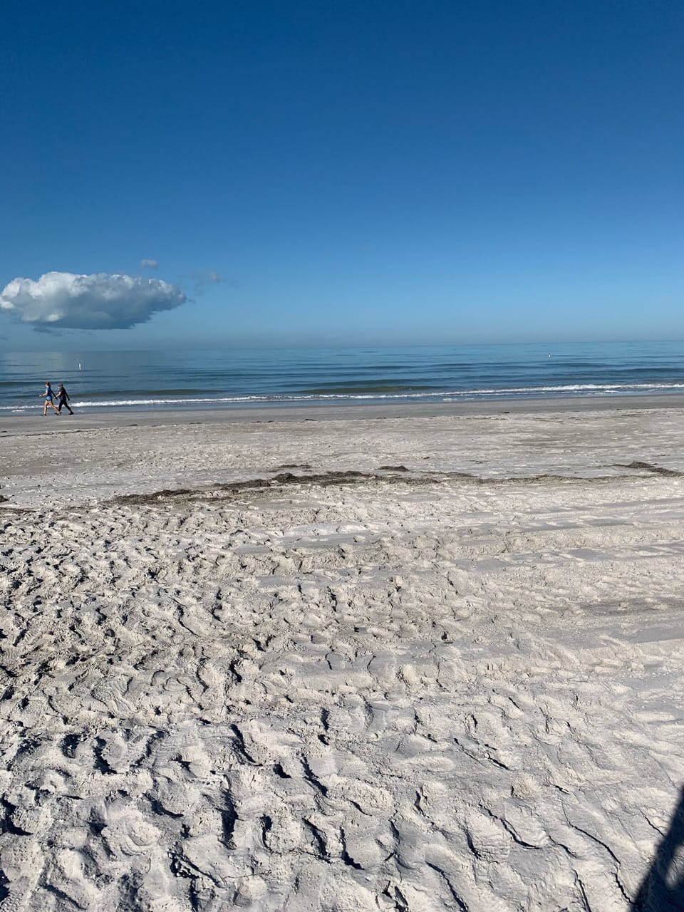 view from back door.  this is low tide
