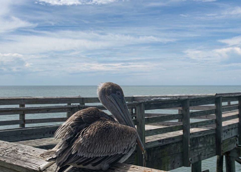 Peaceful moments and ocean breezes await you on your seaside stroll.
