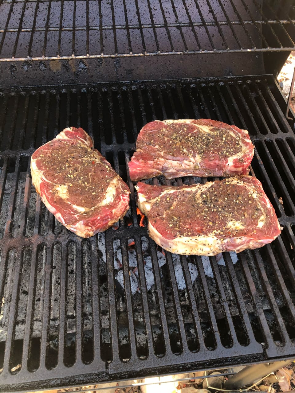 Charcoal/wood grill