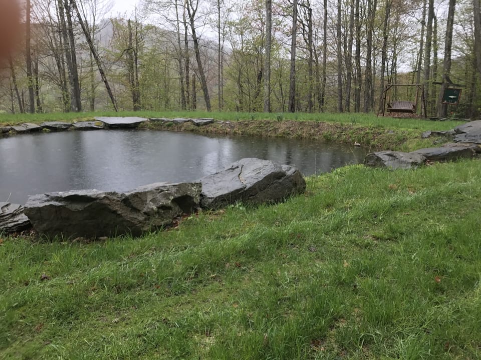 SPRING FED POND