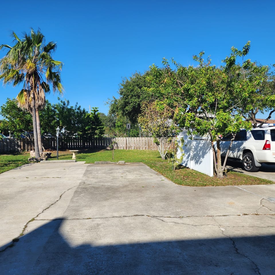 Opposite side of the front yard