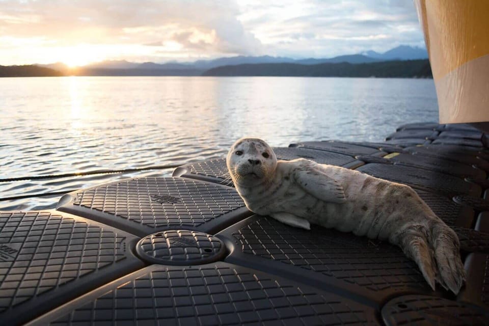 bc325a0e-09cd-4d7c-ba22-72c233a15a65