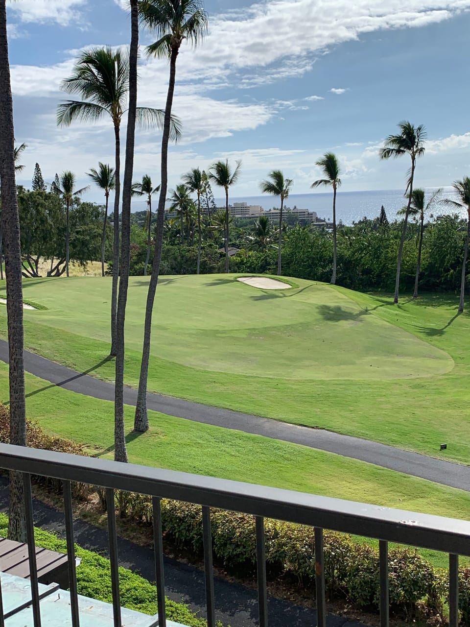 Another view from the lanai.