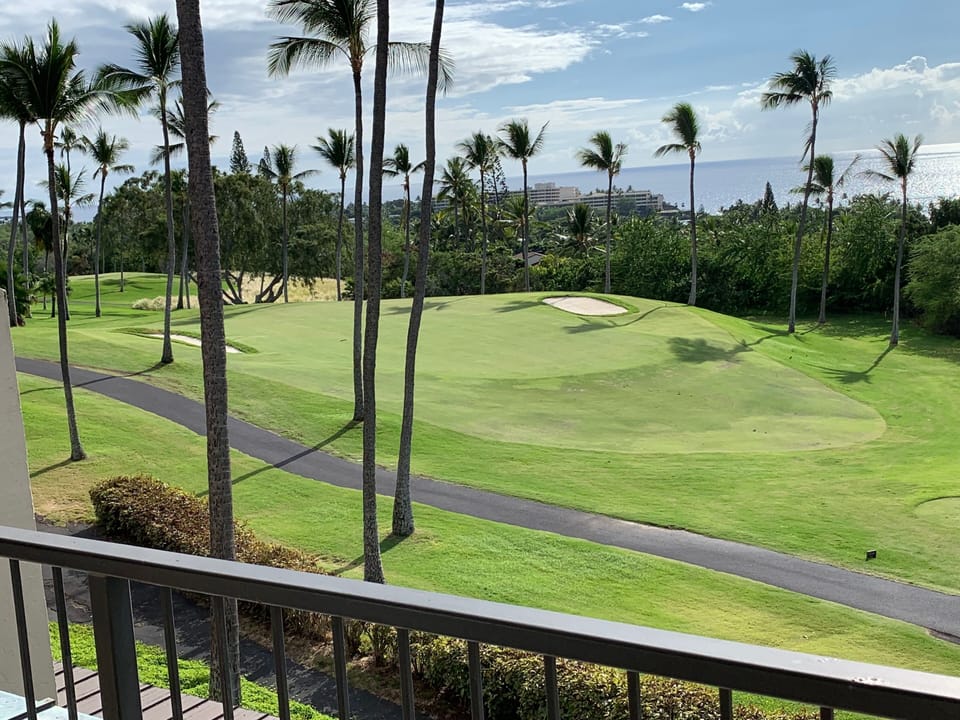 Just one of the views from the lanai!