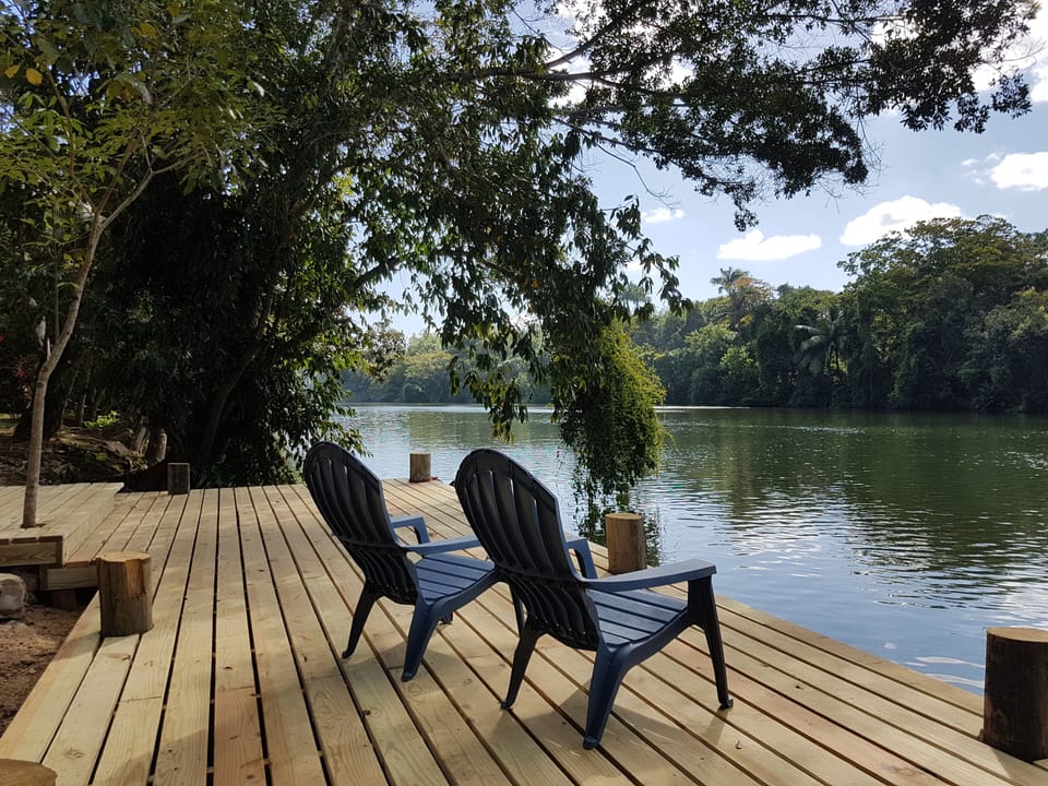 relax on the dock  watch the manatees swim by