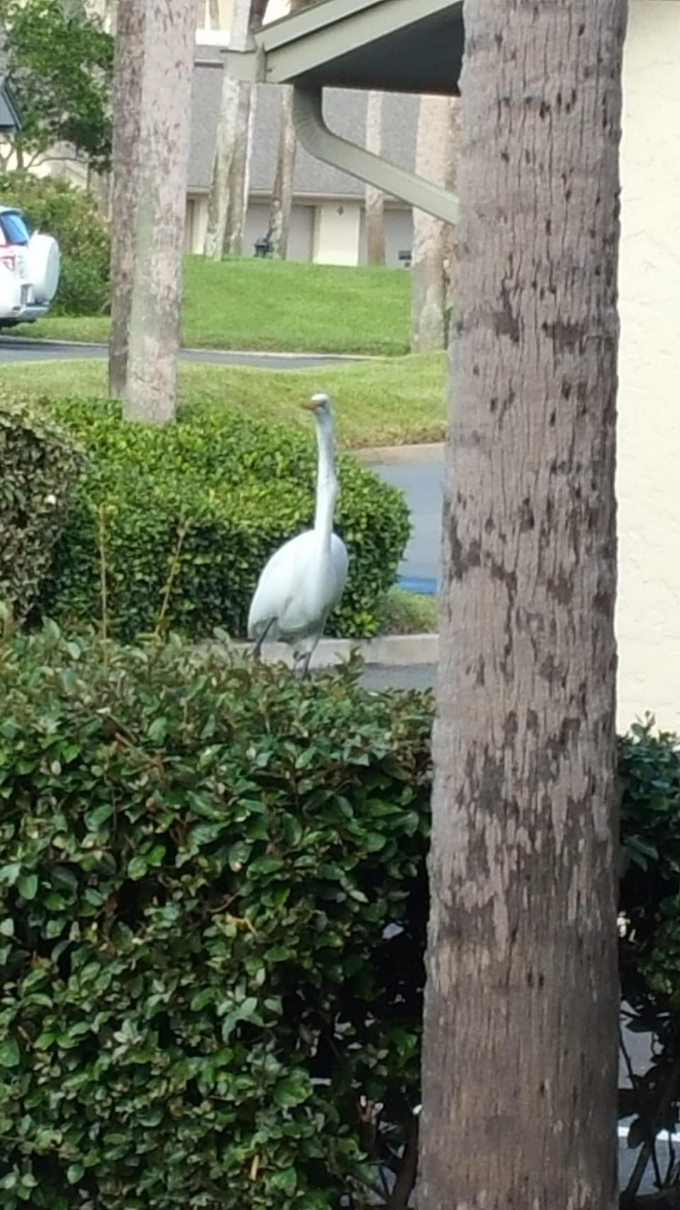 A friend