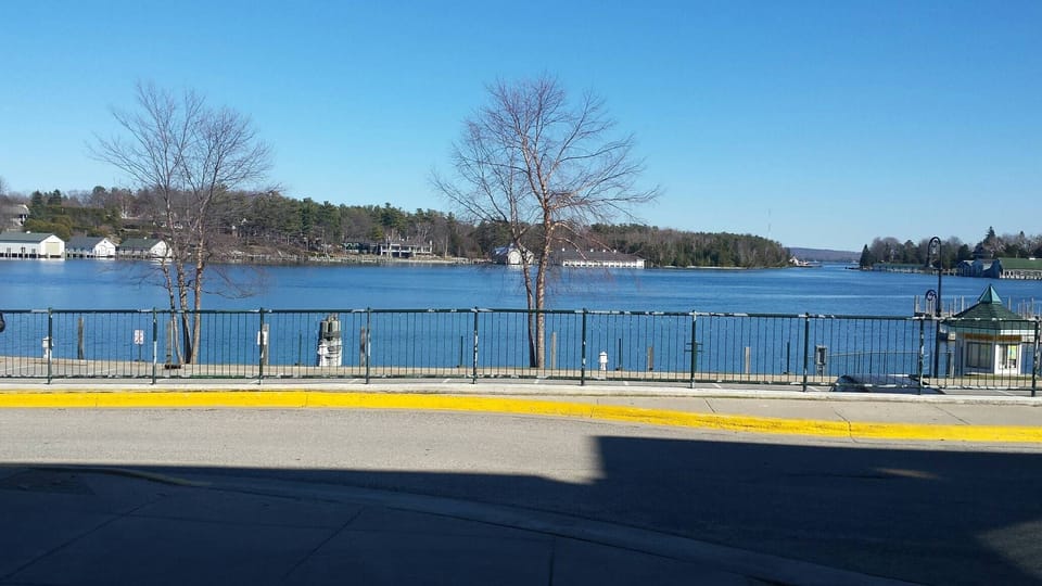 View from the patio (in winter)