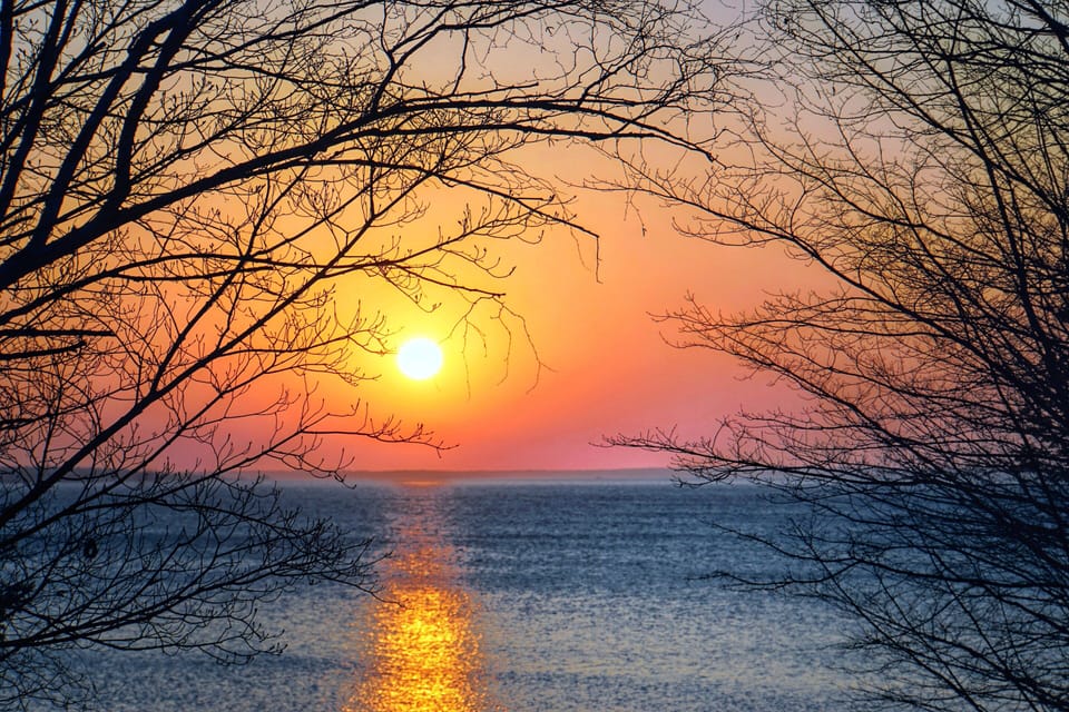 Catch the sunrise at North Shore Park.