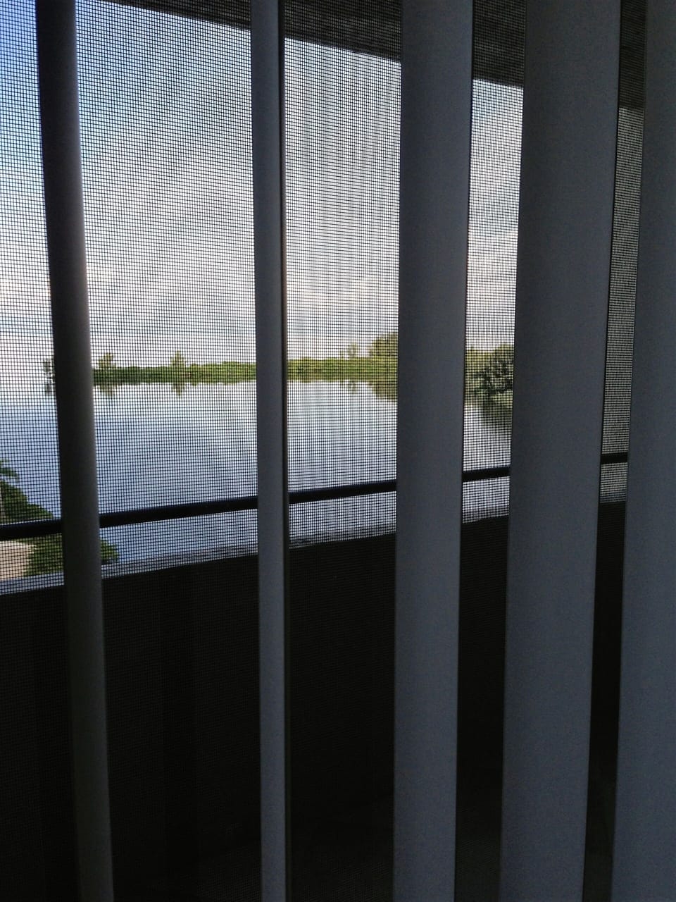 View from primary bedroom