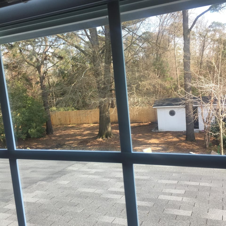 View of backyard