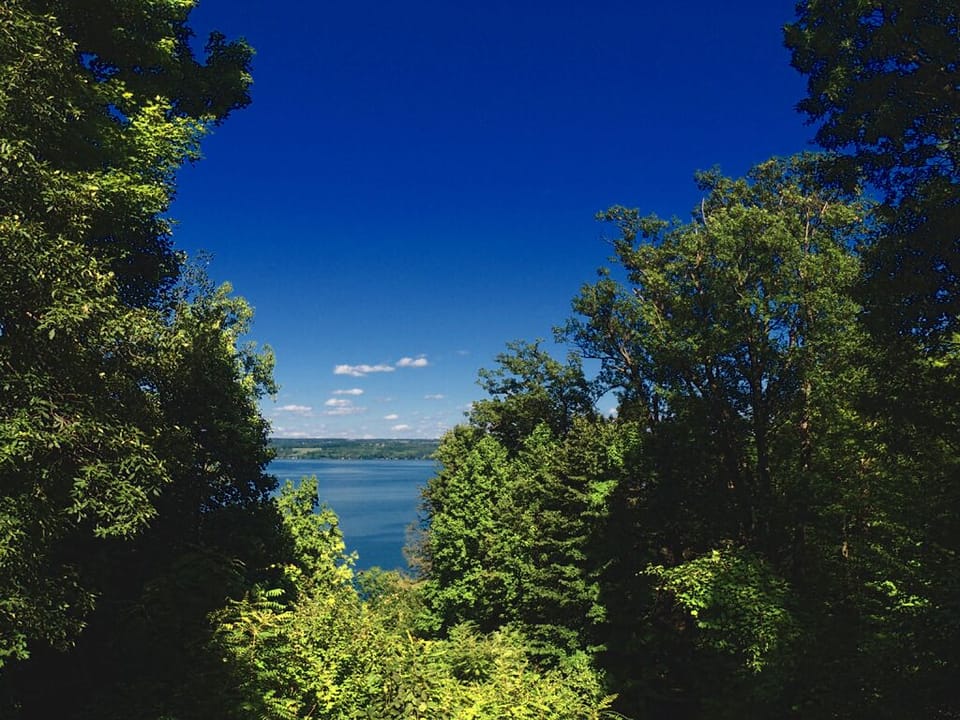 Summertime view of Cayuga Lake from owner's back yard