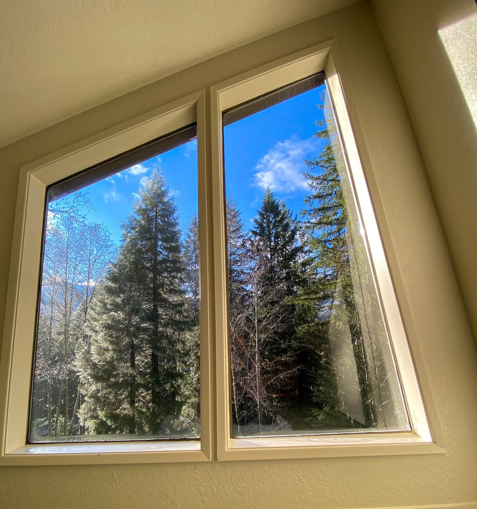 Summer view through the  picture window