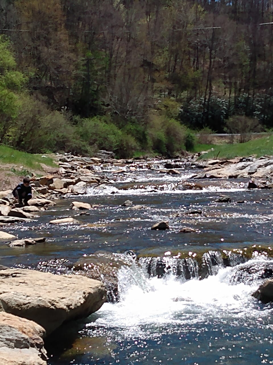 Payne Branch Park 