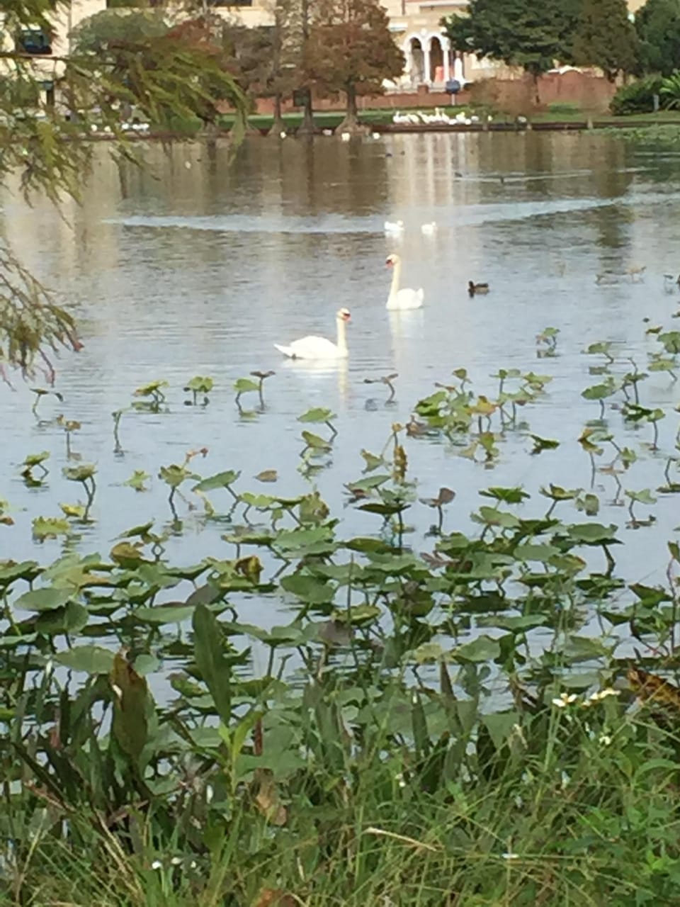 Lake Morton Just a few steps away.