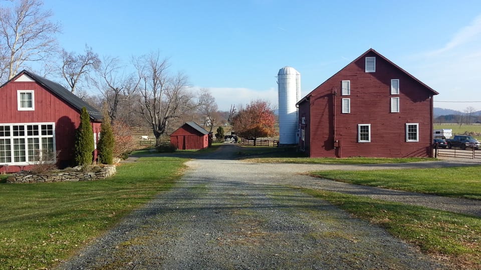 The farm
