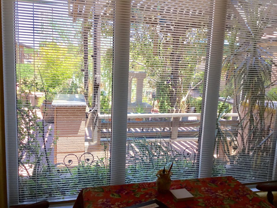 Garden view from table