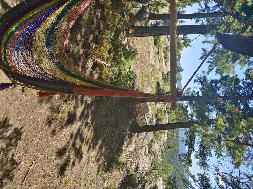 Beautiful Himmelhaus Forest