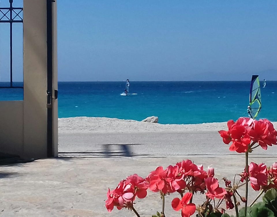 The turquoise in front!