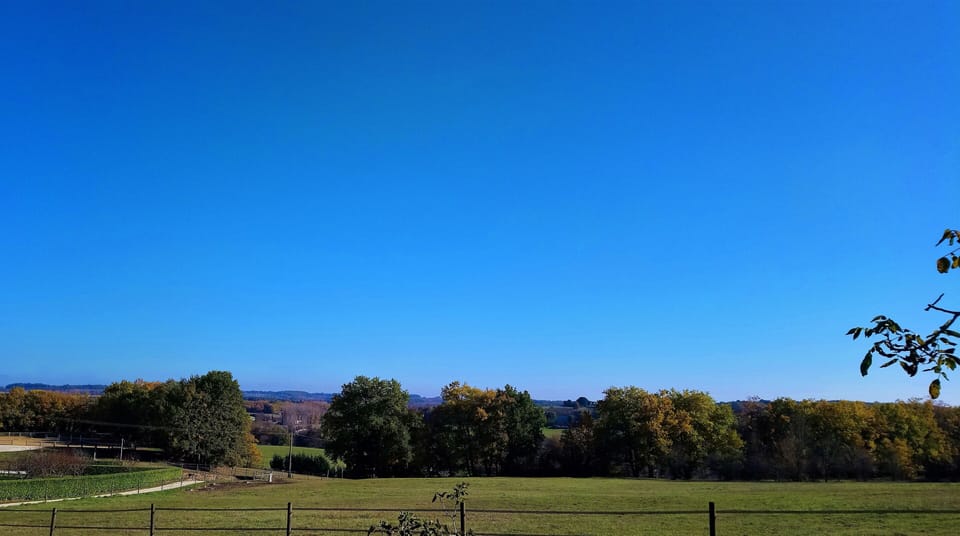 View from the garden to the East