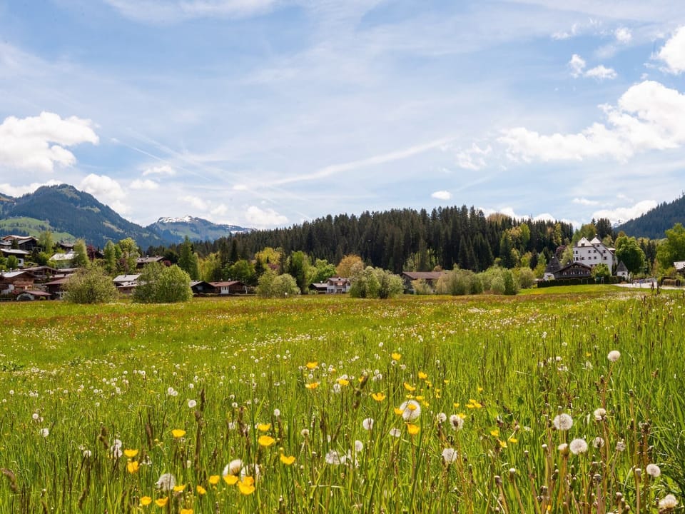 Region [summer] (>5 km)