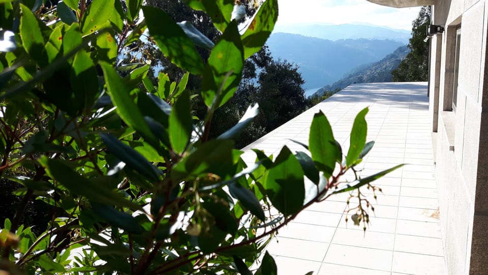 Terraço