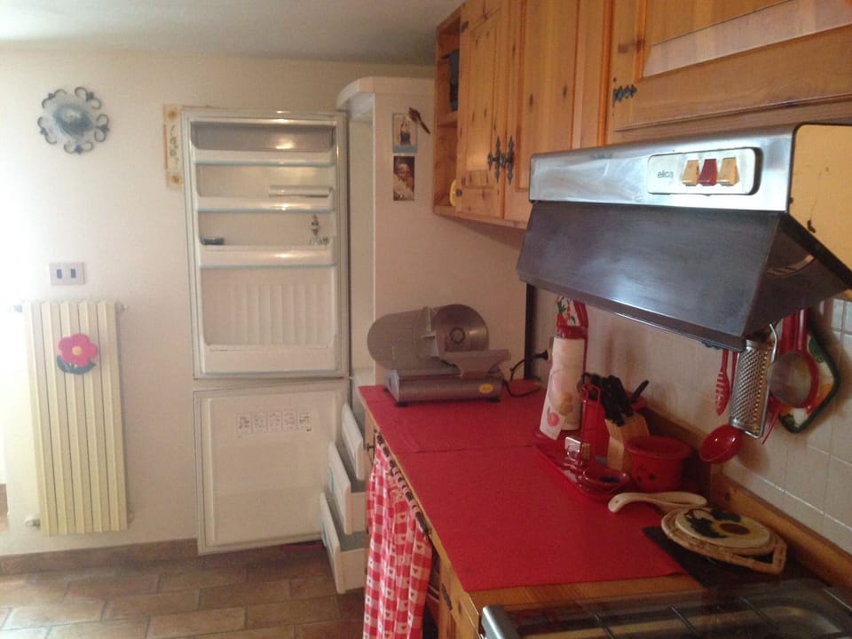fridge and freezer in the kitchen