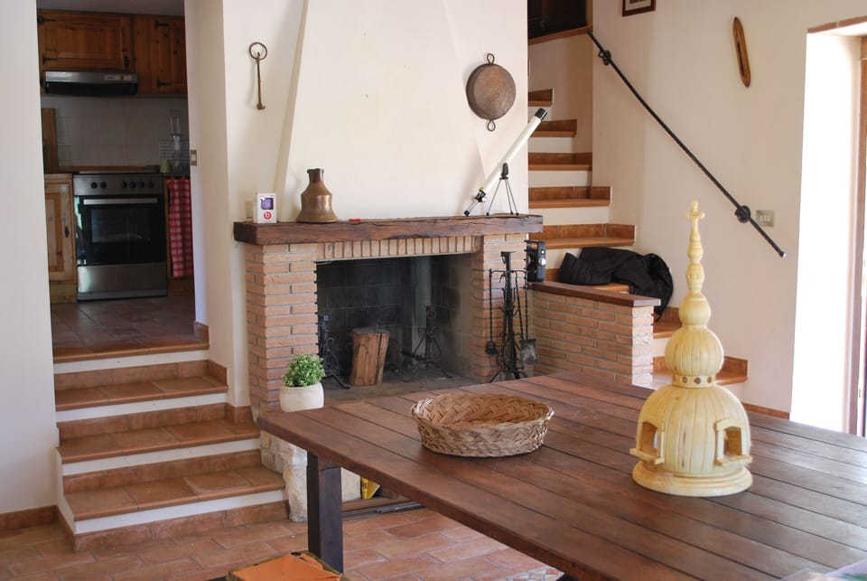 fireplace in the living room