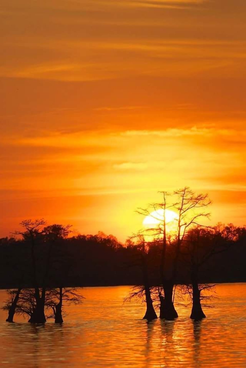 Photo by John Clendenin.  Pic taken on the lake.
