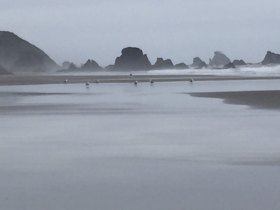 Conference on the beach.  Not sure who is in charge.