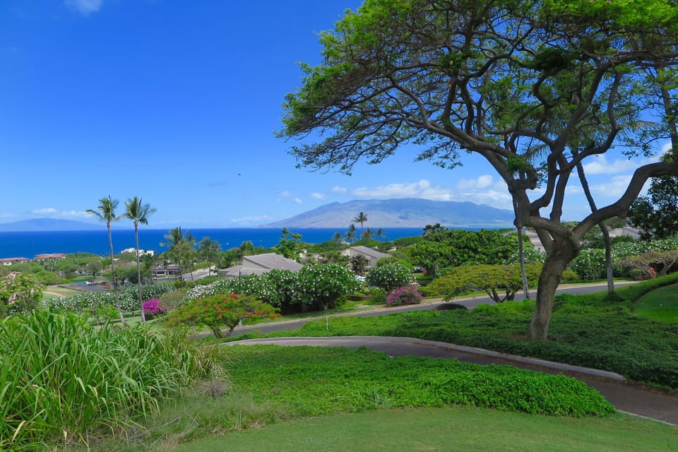 View from golf coarse.