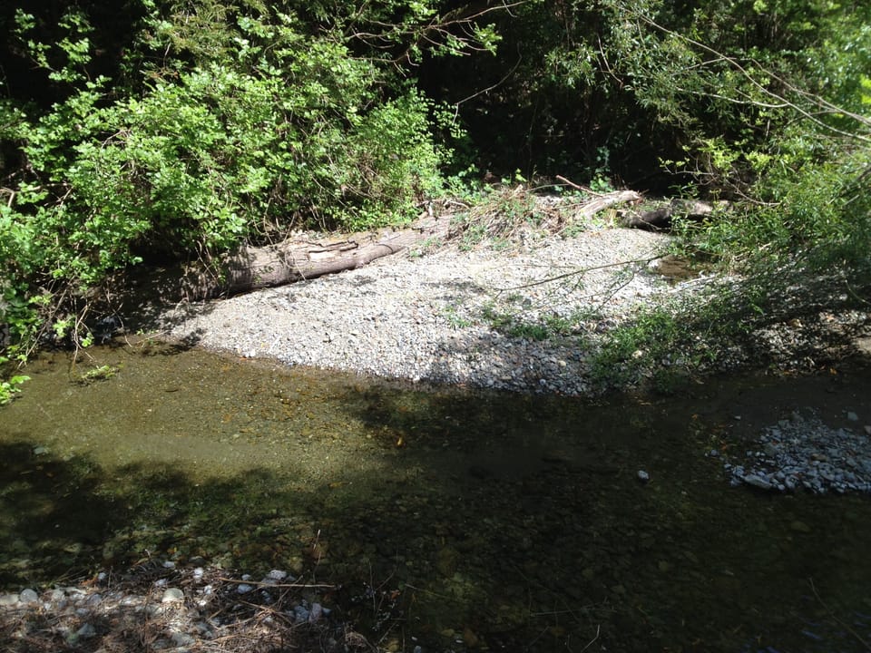 View of Dutch Bill Creek from the dining room deck with BBQ and picnic tables.