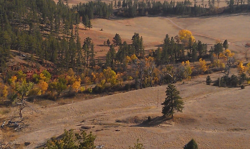 fall color
