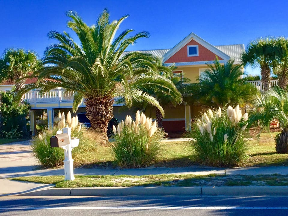 Welcome to Casa Girasol (sunflower house)