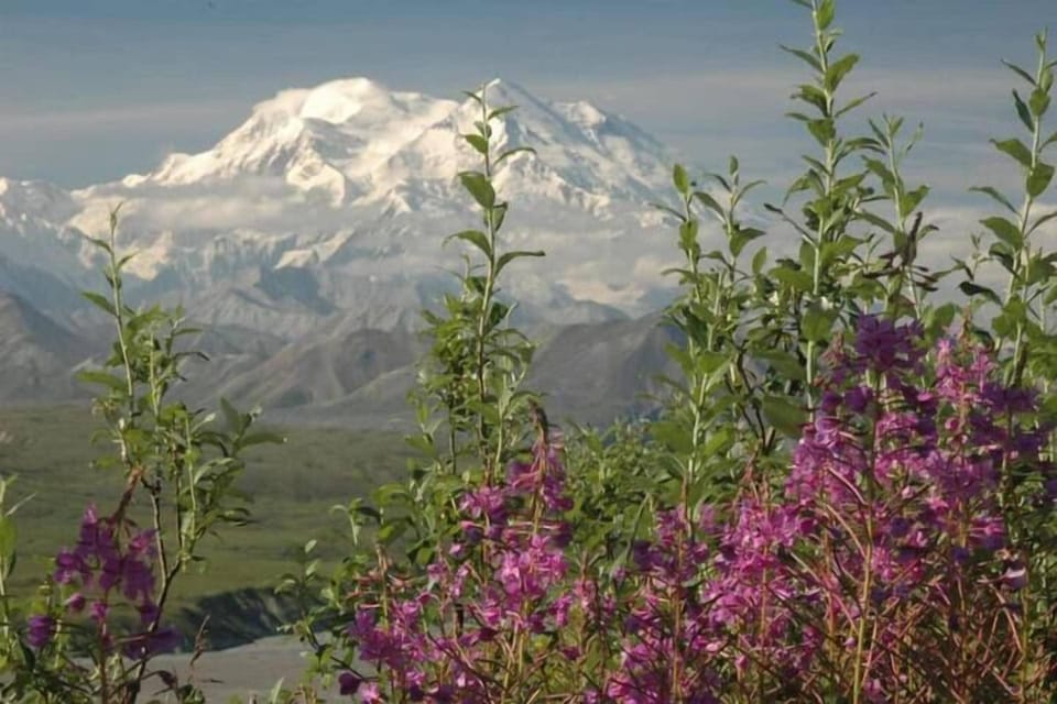 (17) close to all your Denali adventures!