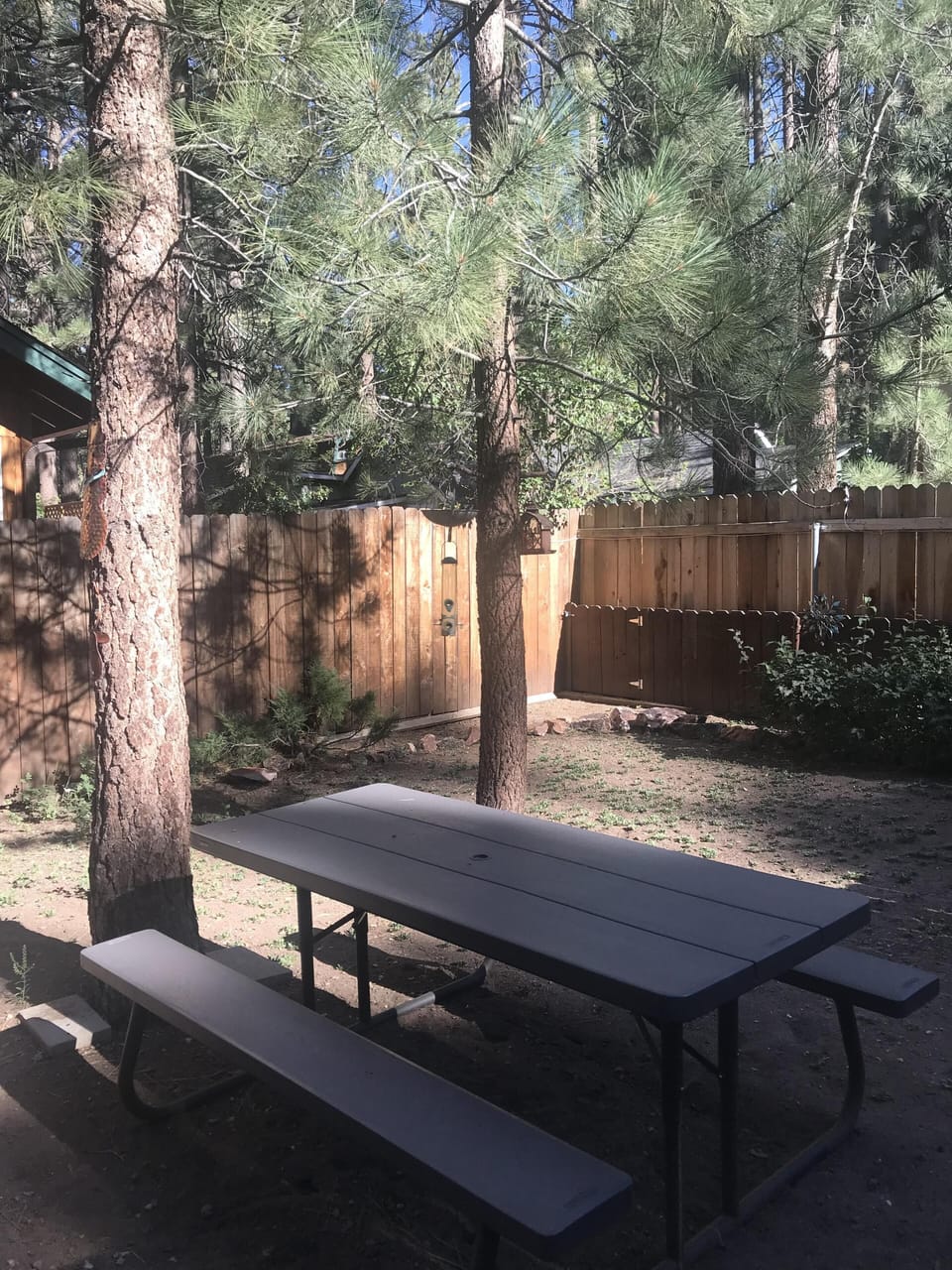 Can you smell the pines. Picnic table for the kids or extra guests