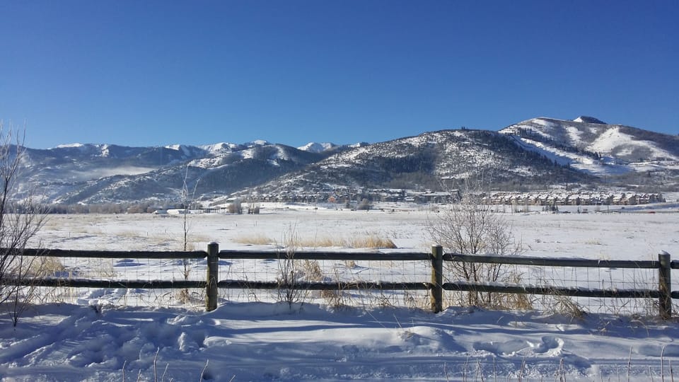 View from Back Deck in Winter