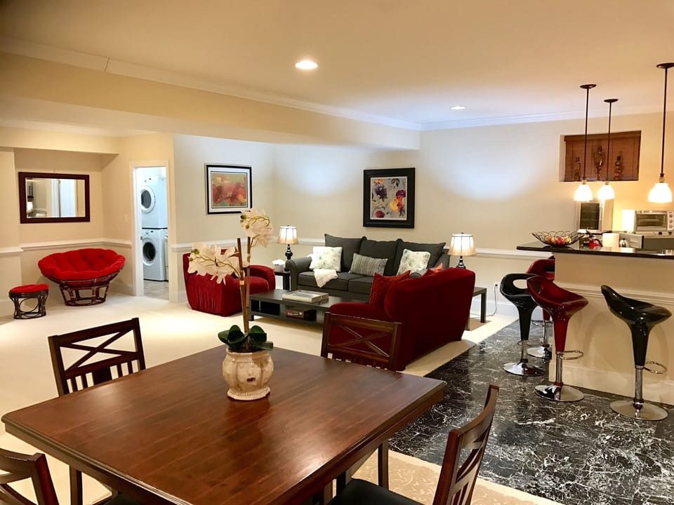 The Beautiful Living Room in the lower level with the queen sofa bed