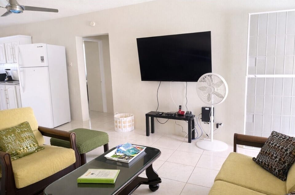 65" smart tv. cable, phone